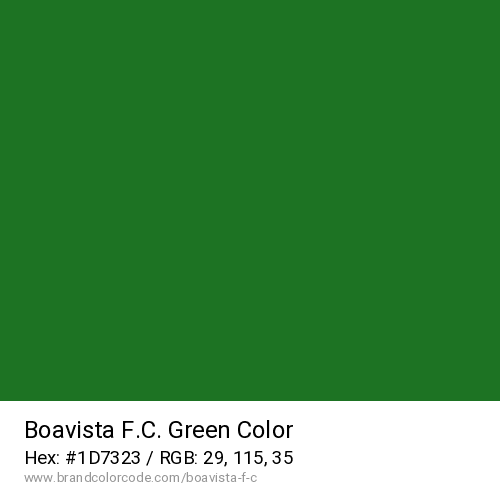 Boavista F.C.'s Green color solid image preview