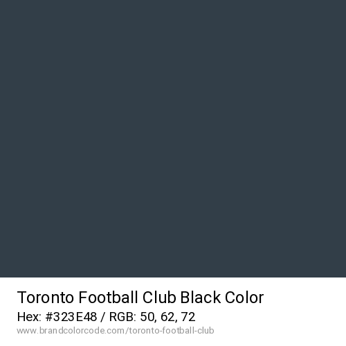 Toronto Football Club's Black color solid image preview