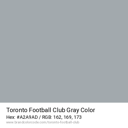 Toronto Football Club's Gray color solid image preview