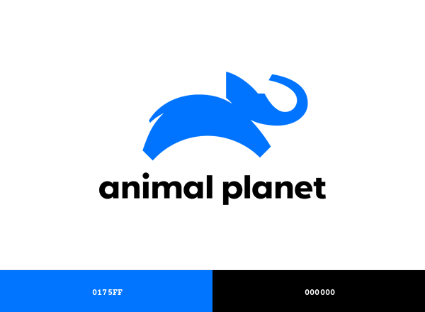 Animal Planet Brand & Logo Color Palette
