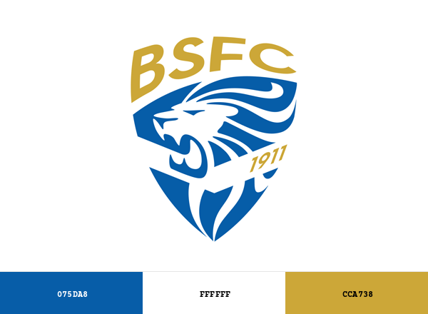 Brescia Calcio Brand & Logo Color Palette