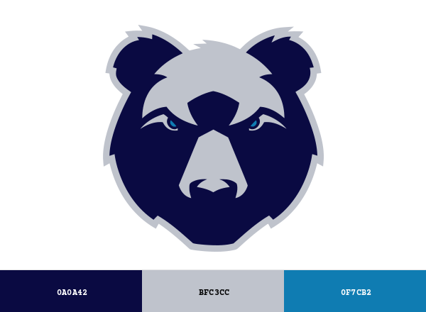 Bristol Bears Brand & Logo Color Palette