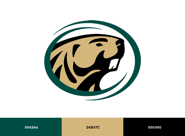 BSU Beavers Brand & Logo Color Palette
