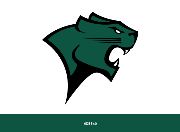 Chicago State Cougars Brand & Logo Color Palette