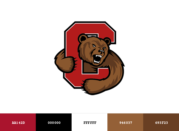 Cornell Big Red Brand & Logo Color Palette