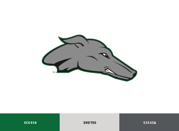 Eastern New Mexico Greyhounds Brand & Logo Color Palette