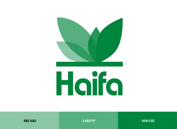 Haifa Group Brand & Logo Color Palette