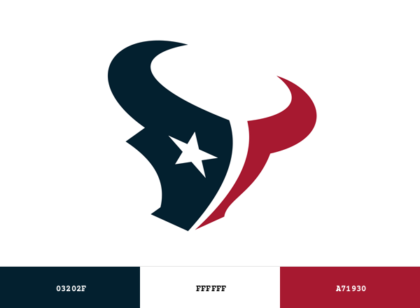 Houston Texans Brand & Logo Color Palette