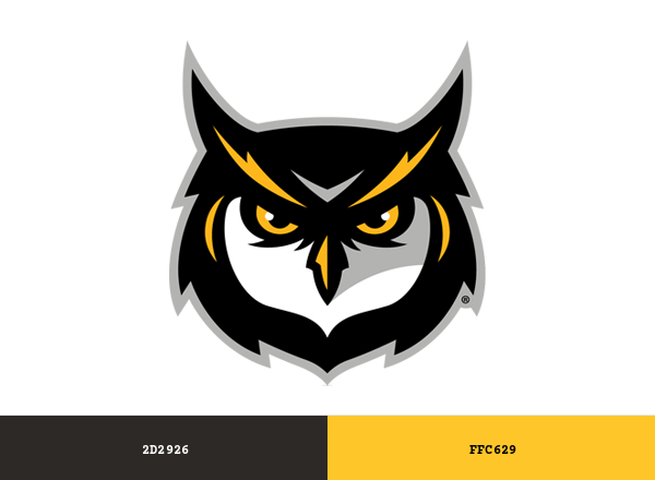 Kennesaw State Owls Brand & Logo Color Palette