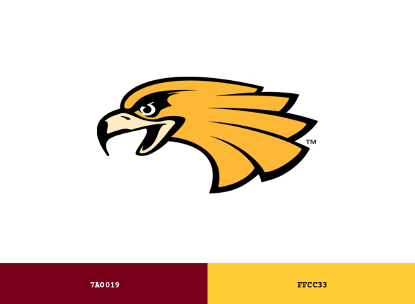 Minnesota–Crookston Golden Eagles Brand & Logo Color Palette