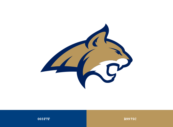 Montana State Bobcats Brand & Logo Color Palette