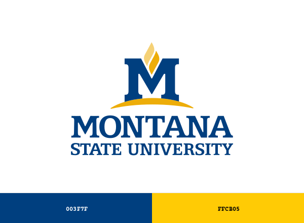 Montana State University Brand & Logo Color Palette