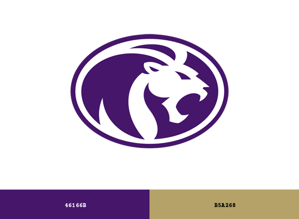 North Alabama Lions Brand & Logo Color Palette