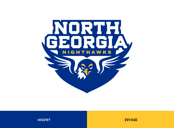 North Georgia Nighthawks Brand & Logo Color Palette