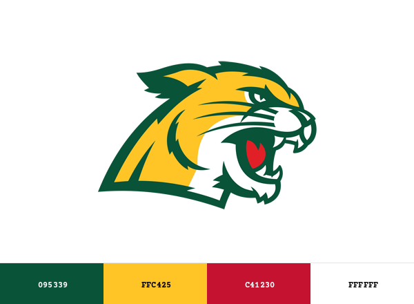 Northern Michigan Wildcats Brand & Logo Color Palette