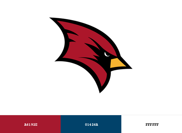 SVSU Cardinals Brand & Logo Color Palette