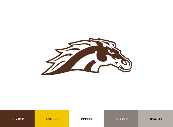 WMU Broncos Brand & Logo Color Palette