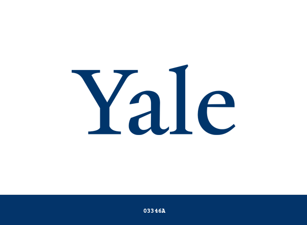 Yale University Brand & Logo Color Palette