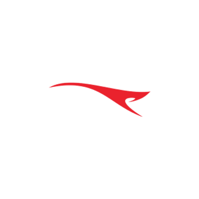 Alanic Brand Logo Preview