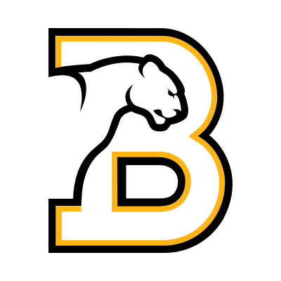 Birmingham-Southern Panthers Brand Logo Preview