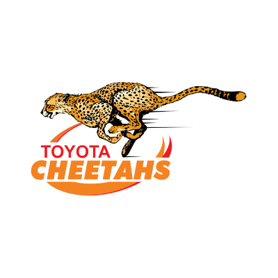 Cheetahs Brand Logo Preview