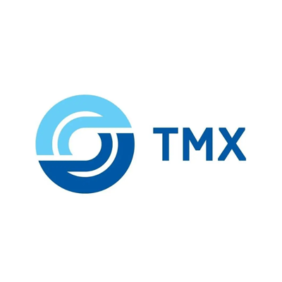CJSC Transmashholding (TMH) Brand Logo Preview