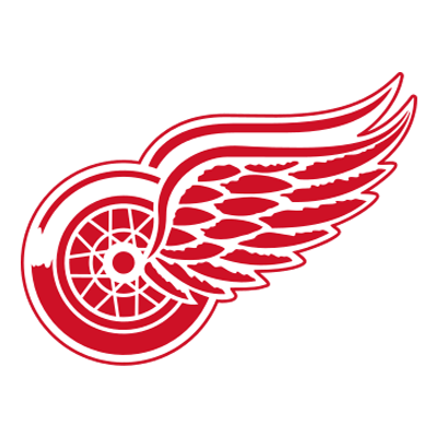 Detroit Red Wings Brand Logo