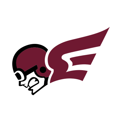 Erskine Flying Fleet Brand Logo