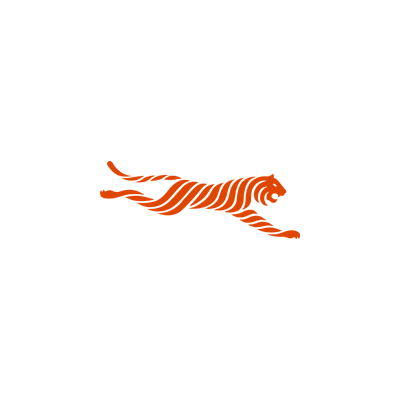 FIT Tigers Brand Logo