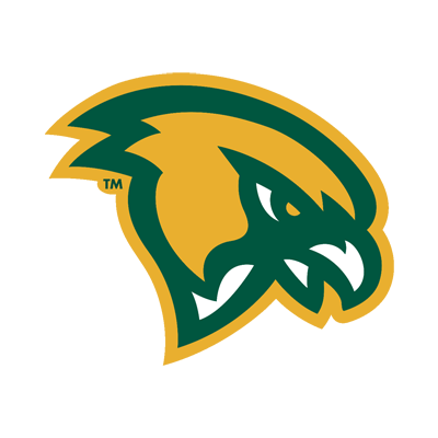 Fitchburg State Falcons Brand Logo Preview