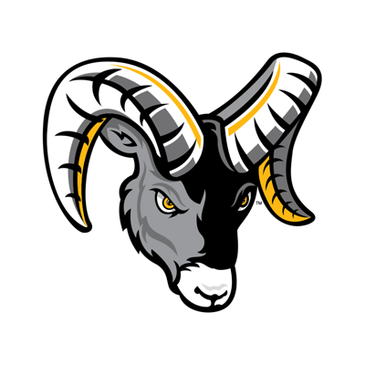 Michigan Wolverines Brand Color Codes » BrandColorCode.com