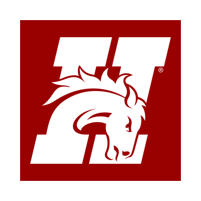 Hastings Broncos Brand Logo