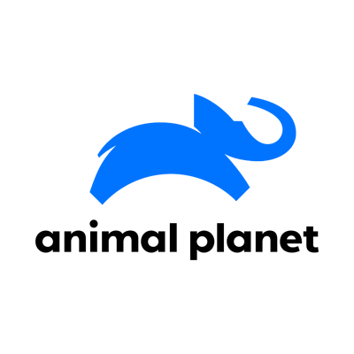 Animal Planet Brand Logo