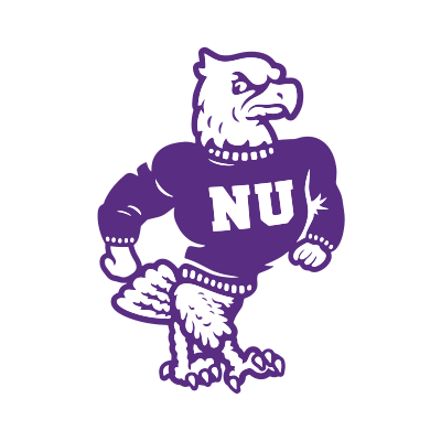Niagara Purple Eagles Brand Logo