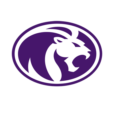 North Alabama Lions Brand Logo