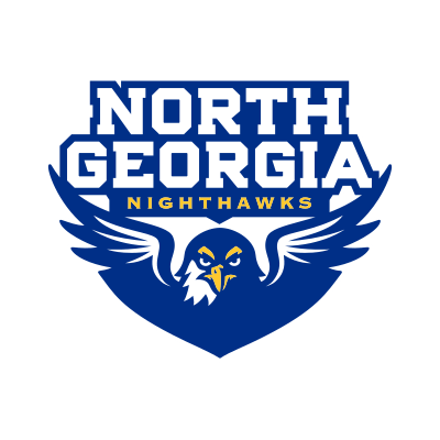 North Georgia Nighthawks Brand Logo