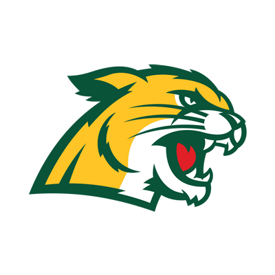 Northern Michigan Wildcats Brand Logo