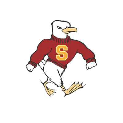 Salisbury Sea Gulls Brand Logo