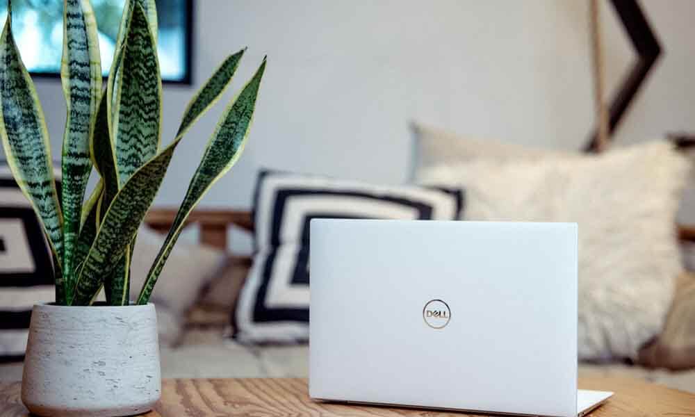 Silver coloured Dell laptop on table beside plant