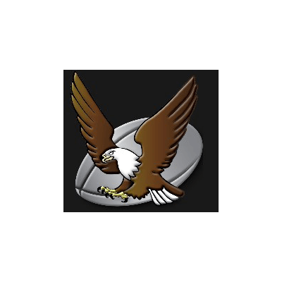 South Western Districts Eagles Brand Logo Preview