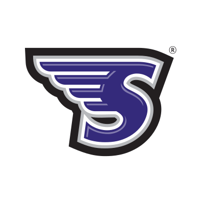 Stonehill Skyhawks Brand Logo