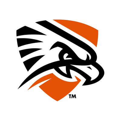 Texas–Permian Basin Falcons Brand Logo