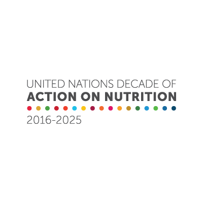 UN Decade of Action on Nutrition Brand Logo Preview
