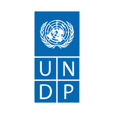 UNDP Brand Logo Preview